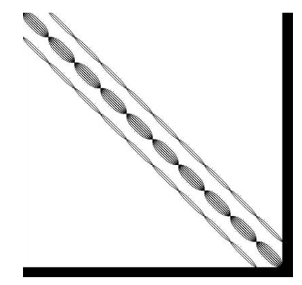 Banded Arrowhead